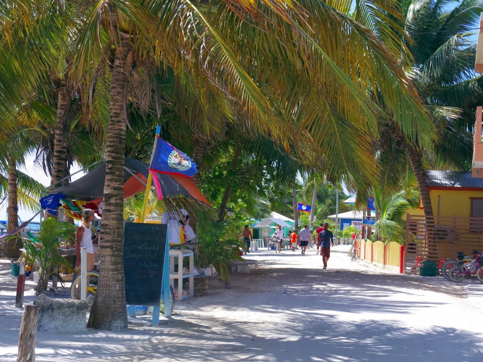 Best Caye Caulker Tour: A Virtual Tour through Caye Caulker - MAHO on ...