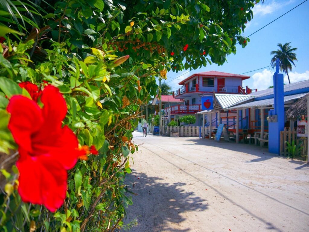 caye caulker belize 14