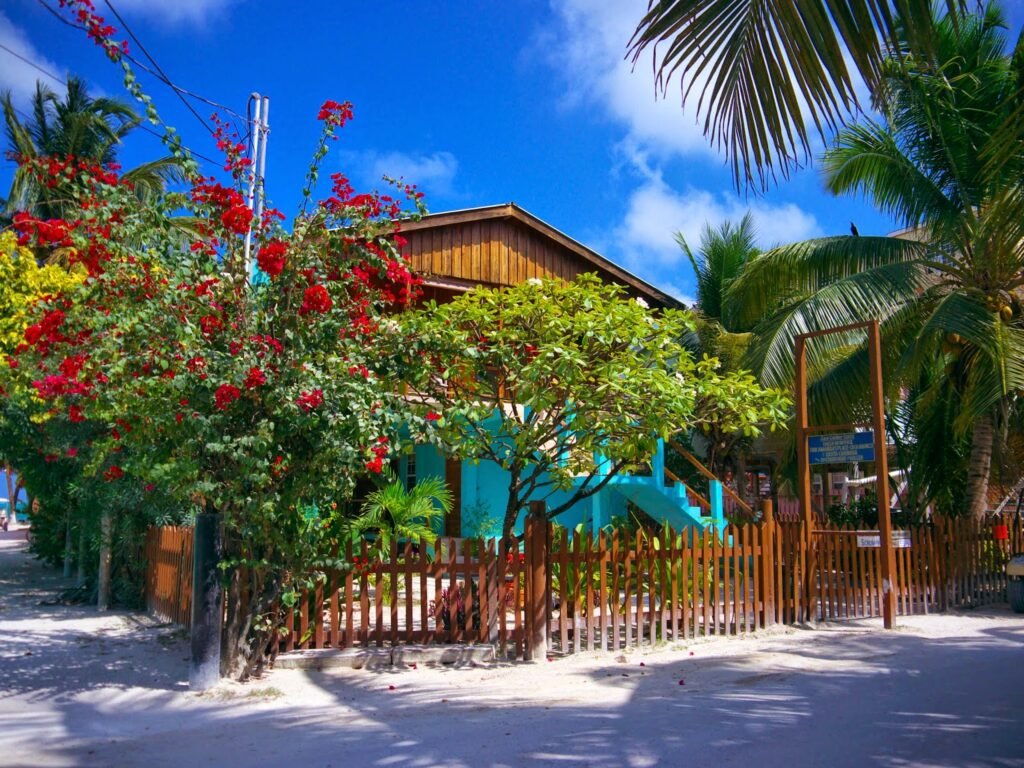 caye caulker belize 17