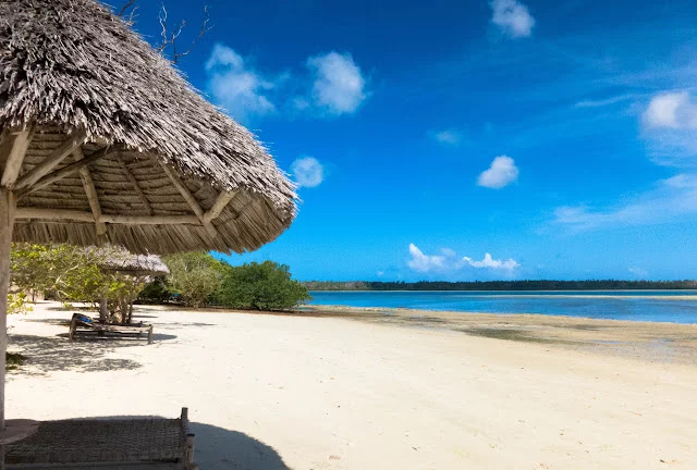 Tanzania's Unsung Treasure - Mafia Island (No Sicilian Connection