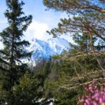 Hoher Kranzberg Mittenwald 8