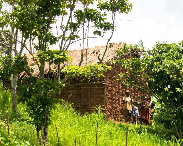 Bwindi Gorilla Trek Uganda 57