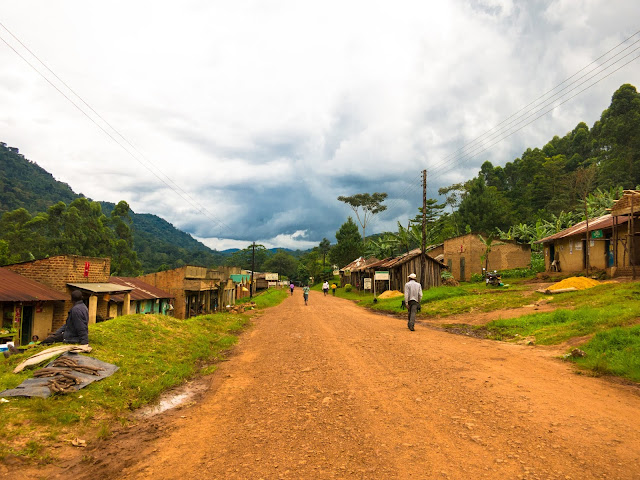 Bwindi Gorilla Trek Uganda 63