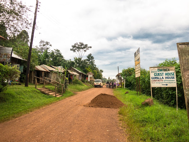 Bwindi Gorilla Trek Uganda 66