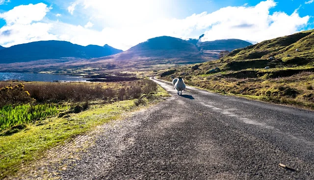 Isle Of Mull Carsaig Walk Scotland 2