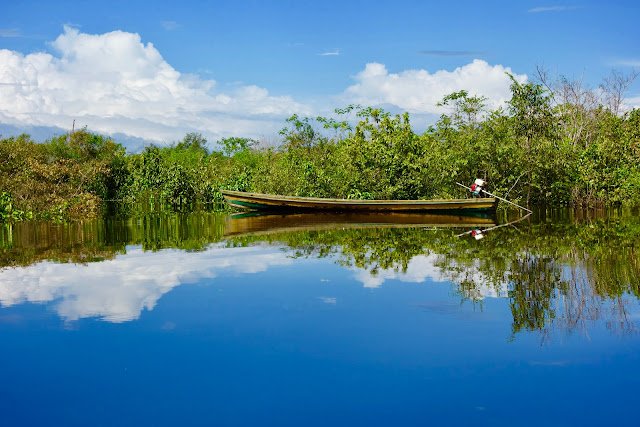 amazon rainfores peru