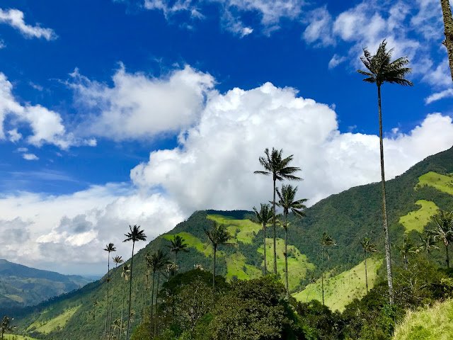 cocora valley colombia