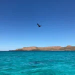 Isla Espiritu Santo Mexico