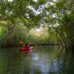 Abatan River Bohol Firefly Kayaking 57