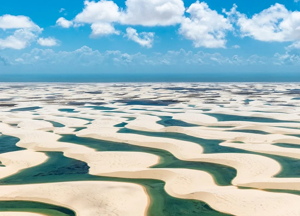 Len C3 A7 C3 B3is Maranhenses 2018 cropped wiki