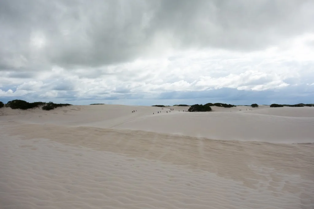 Lencois Maranhenses National Park Brazil 37