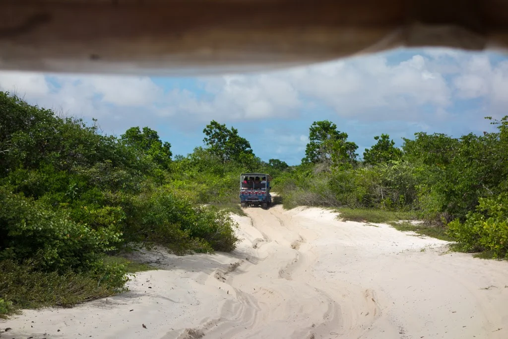 Lencois Maranhenses National Park Brazil 4