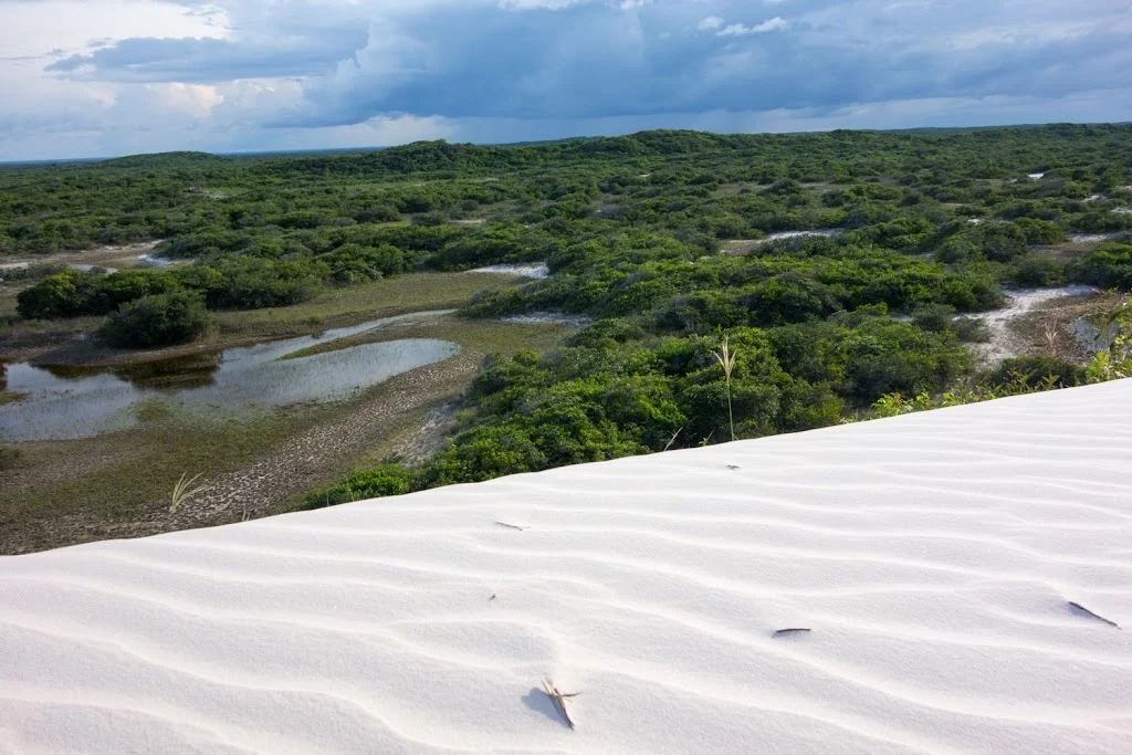 Lencois Maranhenses National Park Brazil 41