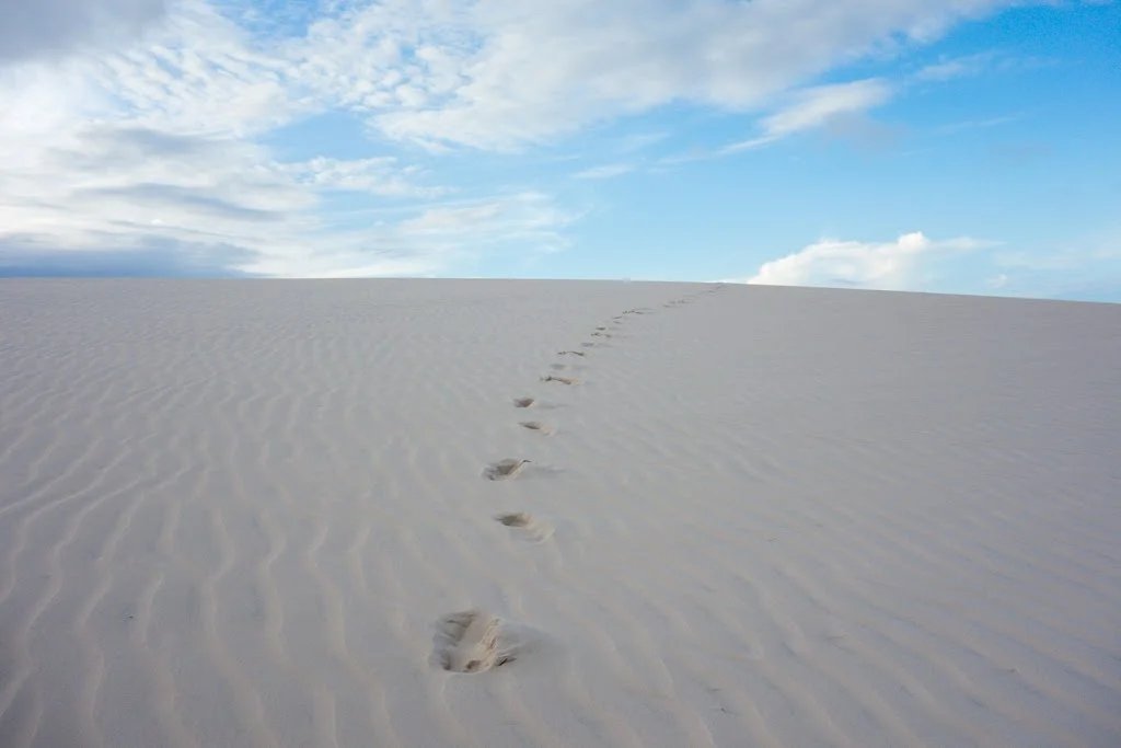 Lencois Maranhenses National Park Brazil 54
