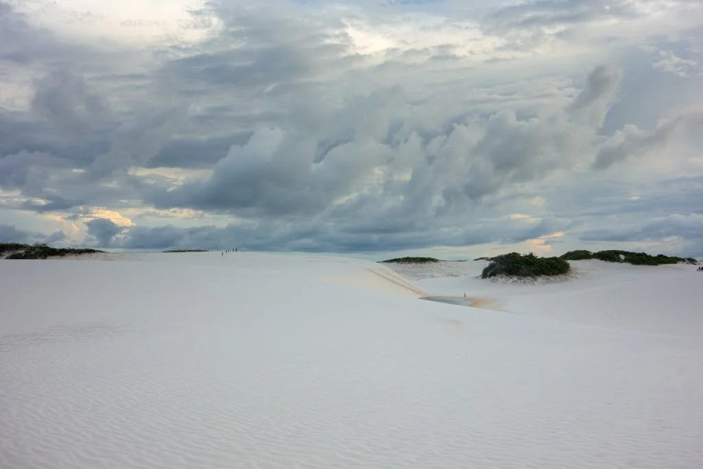 Lencois Maranhenses National Park Brazil 59