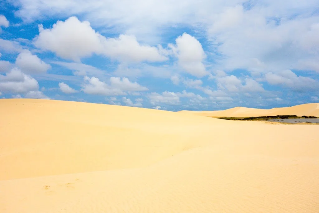 Lencois Maranhenses National Park Brazil 95