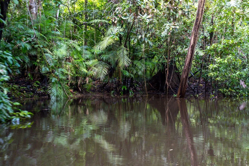 Amazon Colombia Leticia Peru Zacambu Day Trip 86