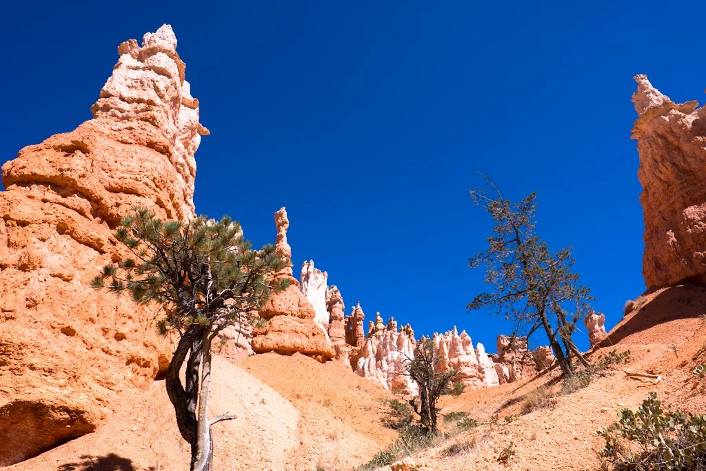 Hiking Bryce Canyon
