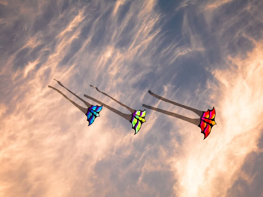 Washington State International Kite Festival 48 300x225 1