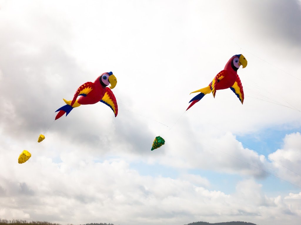 Washington State International Kite Festival 61