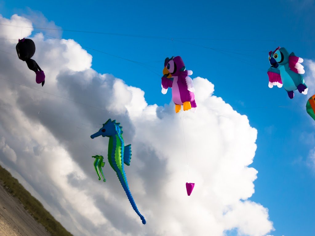 Washington State International Kite Festival 77