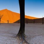 Namibia Travel Guide - FAQ- Namibia-Reiseführer - MAHO on Earth