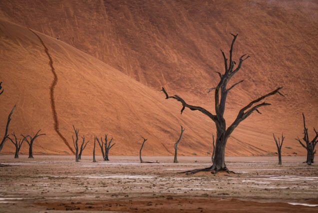 Namibia Botswana Victoria Falls - Namibia Travel Guide