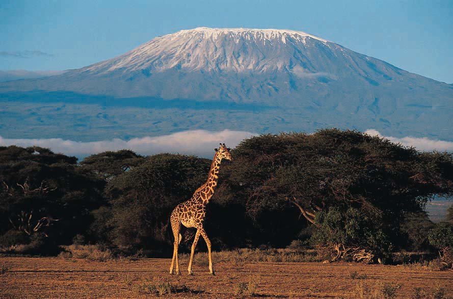 Kilimanjaro Marathon Safari Hiking - MAHO on Earth kathyloperevents.com