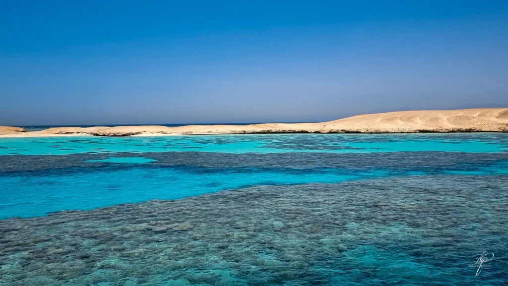 ras muhammed sharm el sheikh red sea scuba diving 12