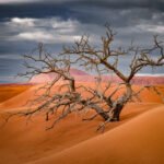 Namibia Botswana Victoria Falls - Namibia Travel Guide