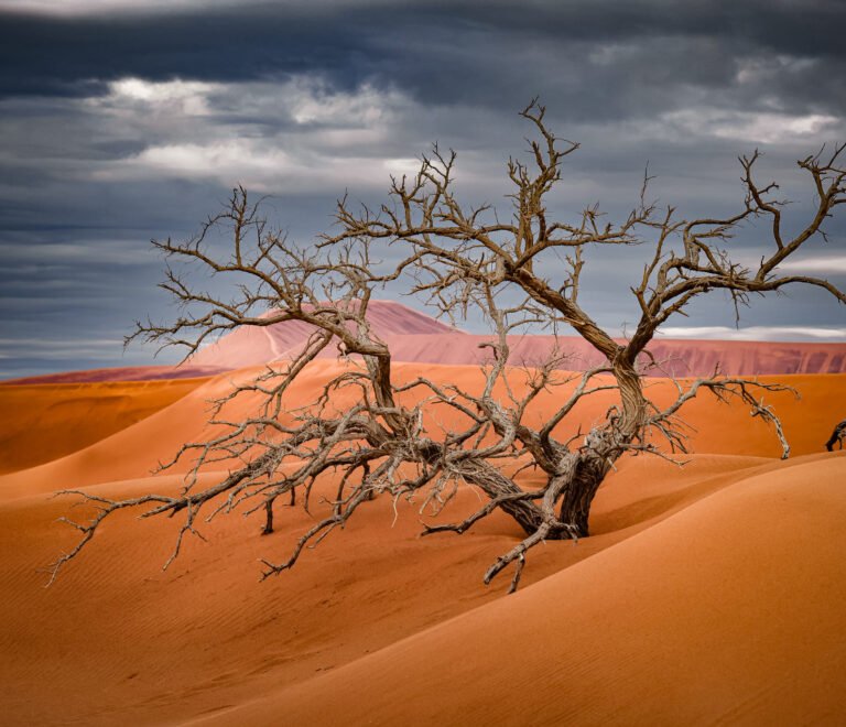 Namibia Botswana Victoria Falls - Namibia Travel Guide