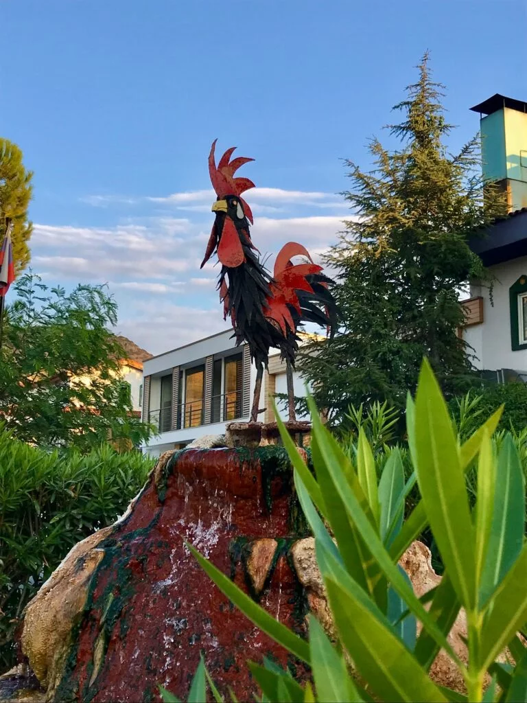 Denizli Horoz Rooster Pamukkale Karahayit