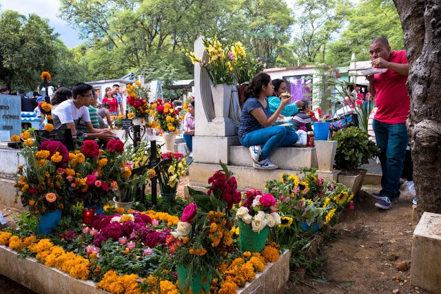 Dia Muertos Oaxaca Mexico 238