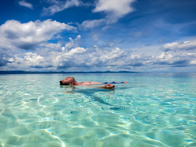 Malapascua Thresher Gato Kalanggaman Diving Adventures Cebu 