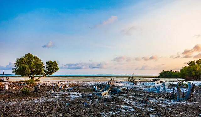 Mafia_Island_Tanzania