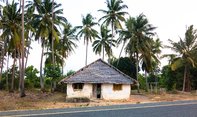 Mafia_Island_Tanzania