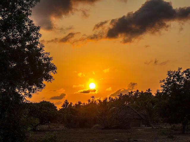 Mafia_Island_Tanzania