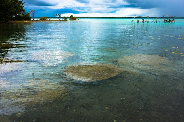 Bacalar_Lagoon_Stromatolites_Mexico-7