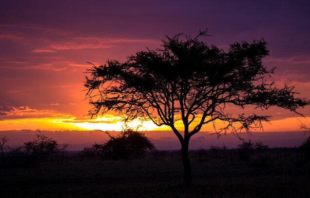 Serengeti_Safari_Tanzania