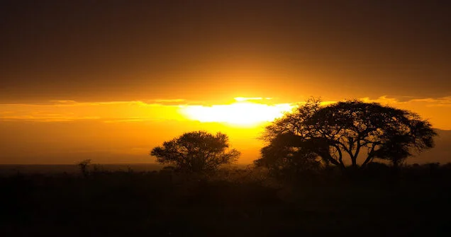 Serengeti_Safari_Tanzania