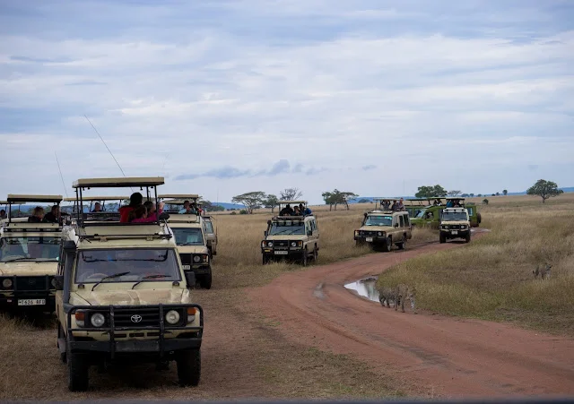 Serengeti_Safari_Tanzania