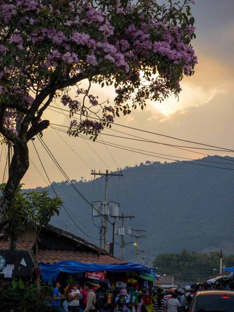 Antigua Guatemala 2
