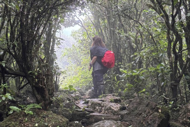 5-Peak Trail Hiking Knuckles Mountain Range