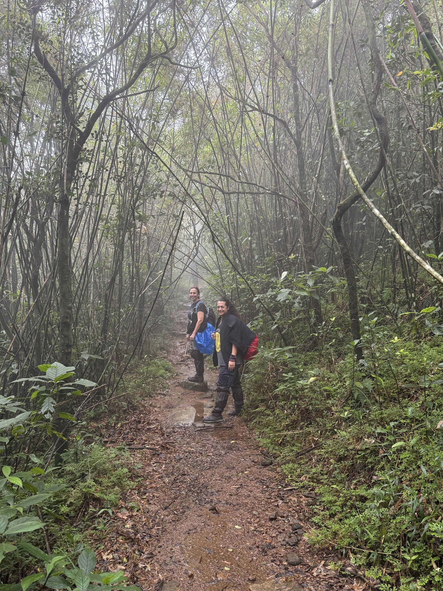Highlights of Our Epic 2 Weeks in Sri Lanka Tour Itinerary (Kandy ...