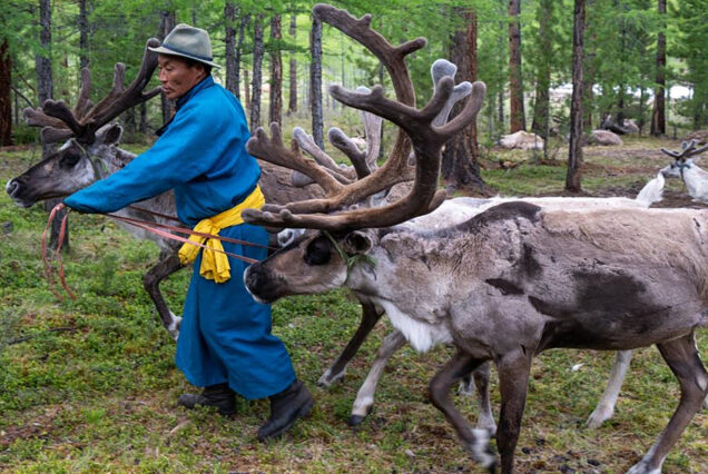 Mongolia Dukha People & Naadam Festival Tour - Duha Türkleri