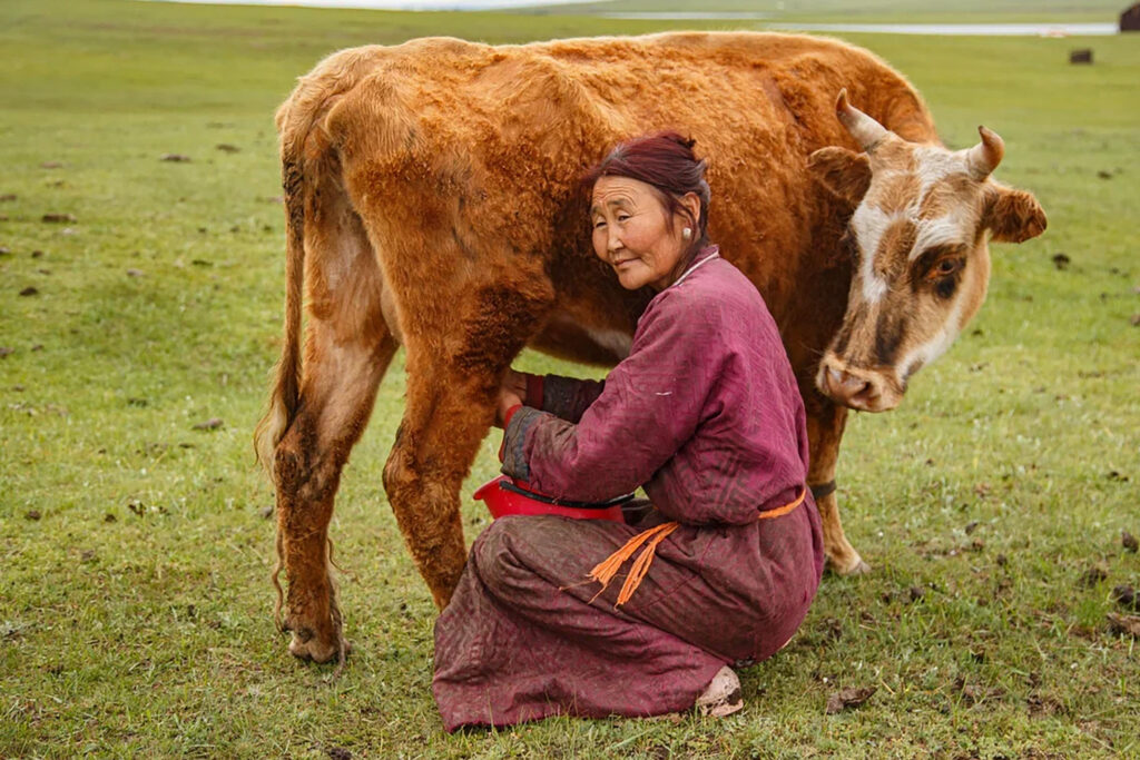 Yak herders