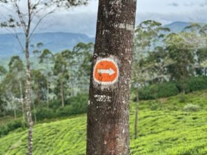 Pekoe Trail Hiking Tour