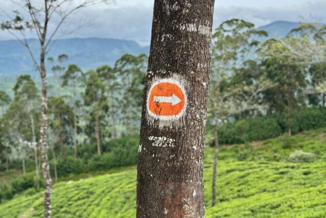 Pekoe Trail Hiking Tour