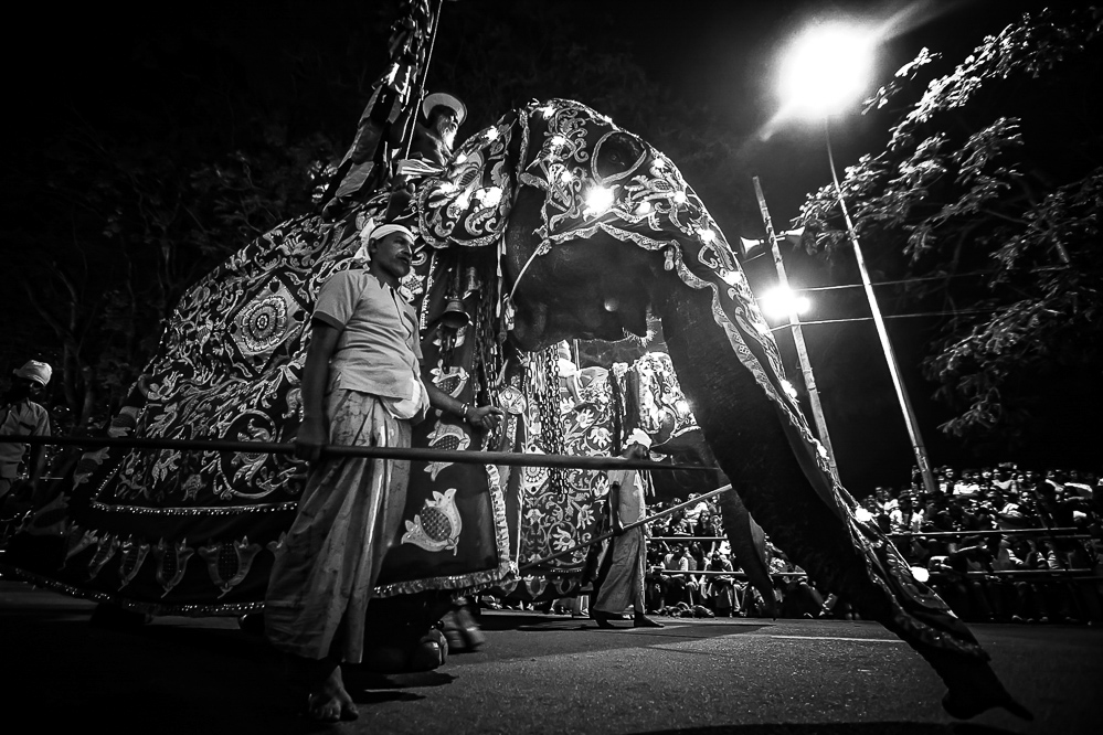 Sri Lanka Kandy Esala Perahera 124