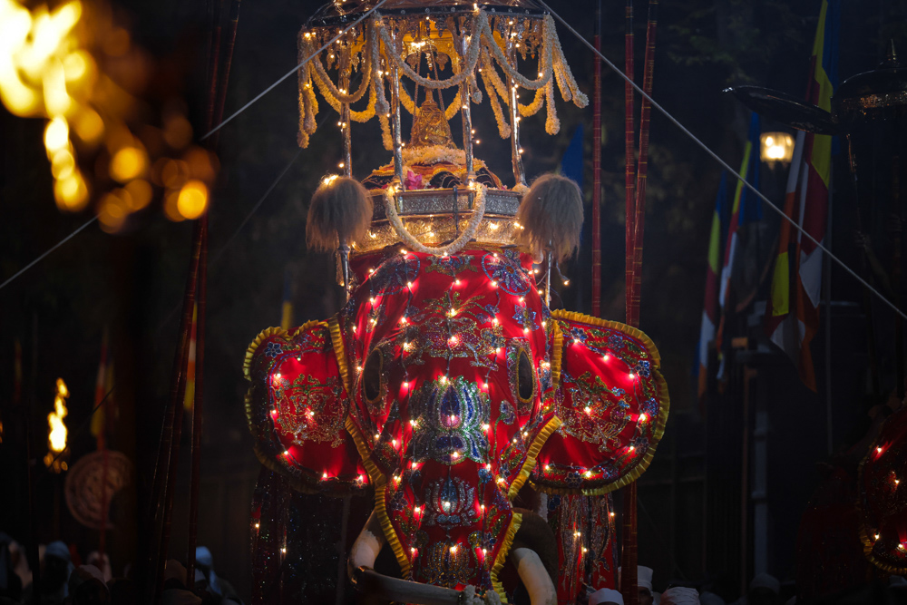 Sri Lanka Kandy Esala Perahera 137